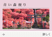 青い森便り