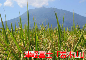 津軽富士「岩木山」