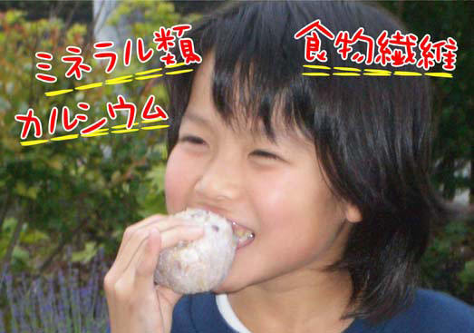 ߥͥ뎥ʪݎ륷˭