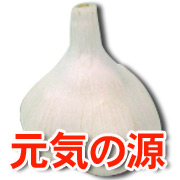 ˤˤϤͽɿʤȤΤƤޤ