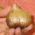 ˤˤM1